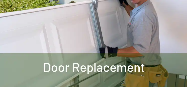  Door Replacement 