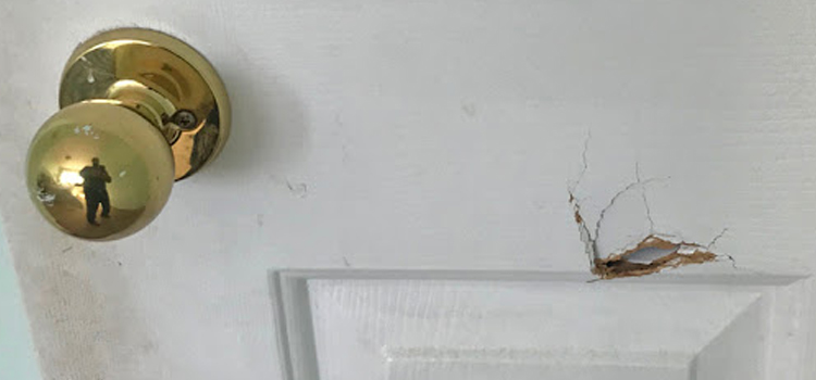 interior door hole repair South San Gabriel